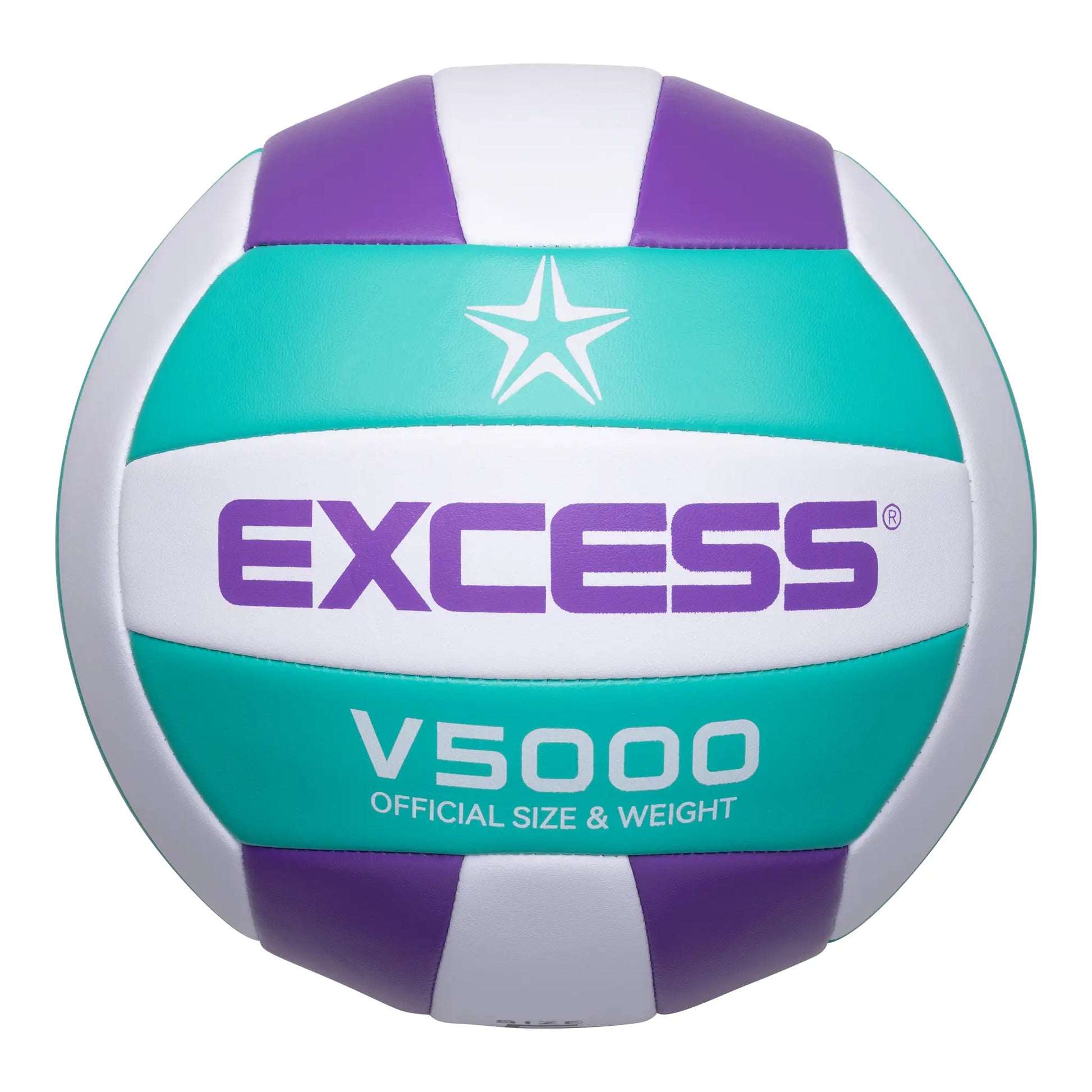 E5-V5000-4 Volleyball